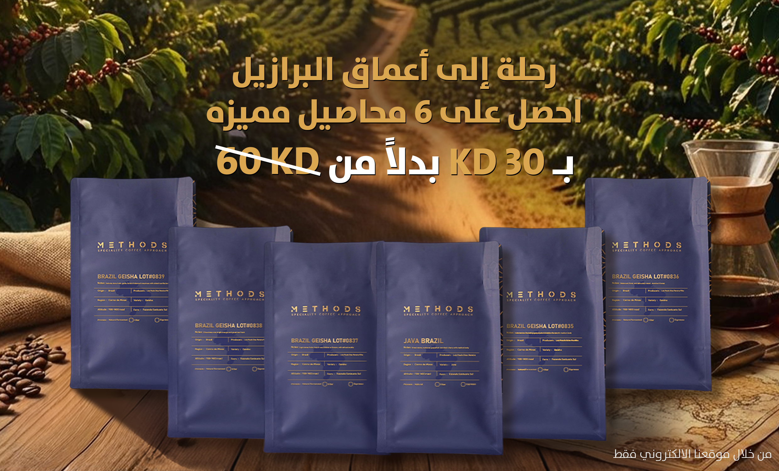 Exclusive Brazil Lot Bundle – Methods Academy and Roastery